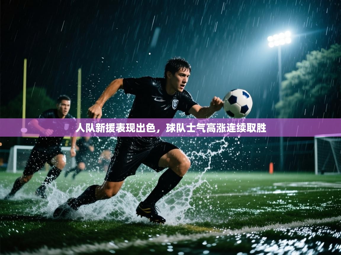 人队新援表现出色，球队士气高涨连续取胜  第1张
