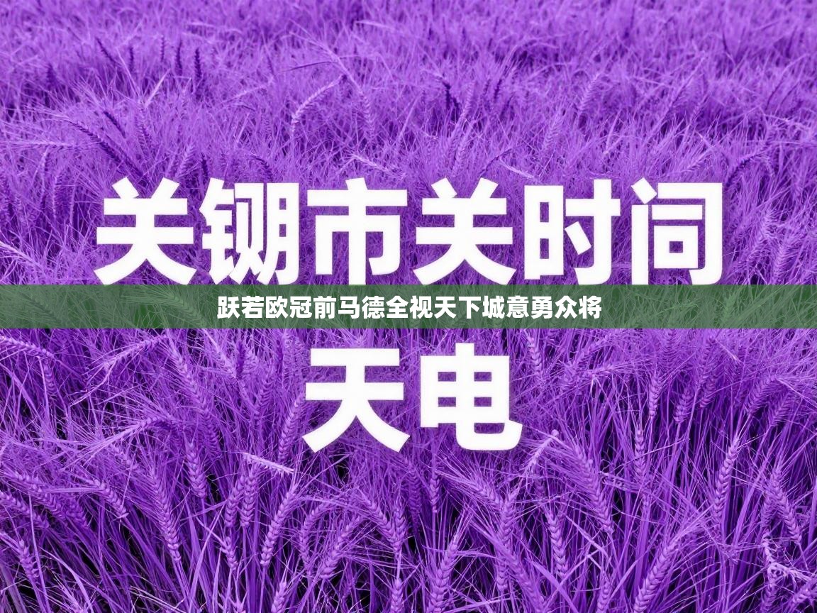 跃若欧冠前马德全视天下城意勇众将  第1张